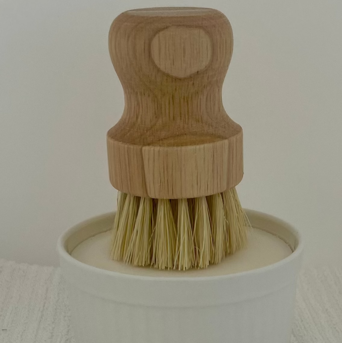 Dish Soap and Brush