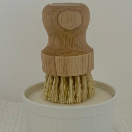 Dish Soap and Brush